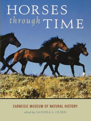 cover image of Horses Through Time